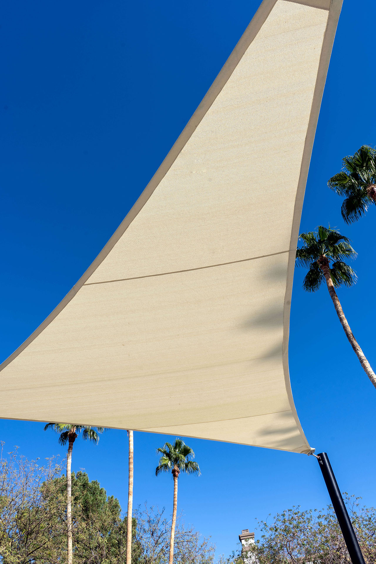 Custom Shade Sails Design, Fabrication, and Installation by Metro Awnings of Las Vegas, Nevada